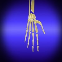 Концептуално изображение на костите в печат на плакат за човешки ръчен плакат