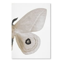 AmericanFlat Alt Silver Moth II от Chaos & Wonder Design Poster Protry Print